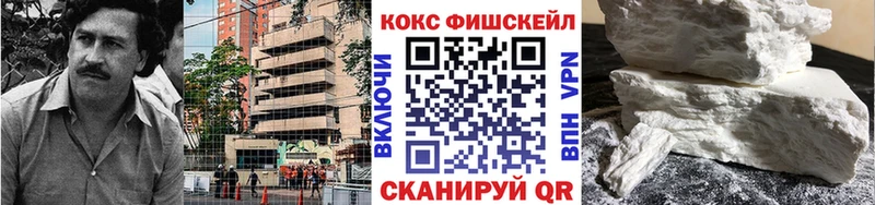 Cocaine Fish Scale  Ноябрьск 
