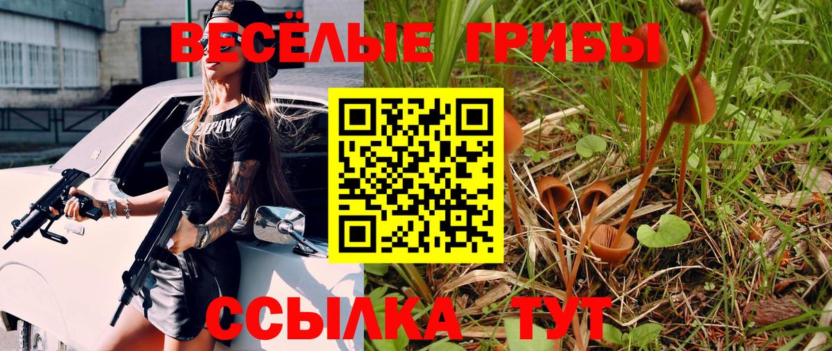 Галлюциногенные грибы GOLDEN TEACHER Ноябрьск