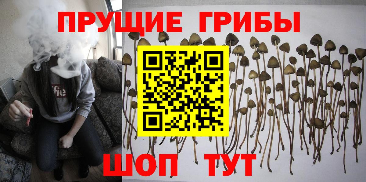 Ноябрьск  Псилоцибиновые грибы прущие грибы  Вход с VPN 